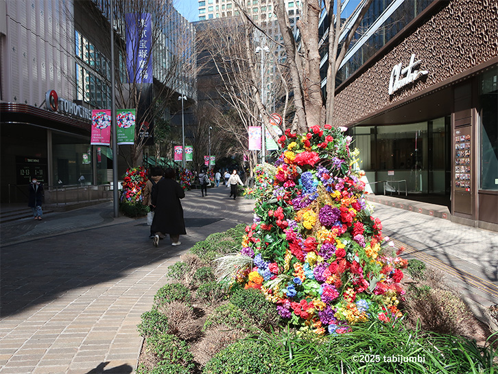 保護中: 日比谷仲通り　Botanical Street
