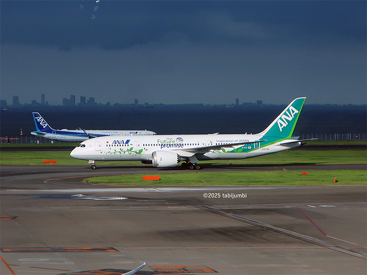 保護中: ANAのグリーンジェット　ー　羽田空港