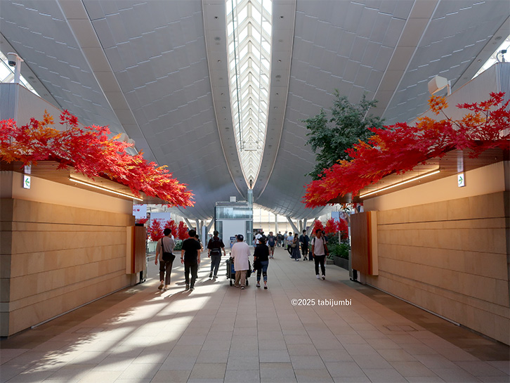保護中: 羽田空港は紅葉の装飾へ
